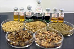 鄭州大學賈陸教授團隊突破創新 金絲楠木提取物研發獲國家專利，植物提取技術再攀高峰